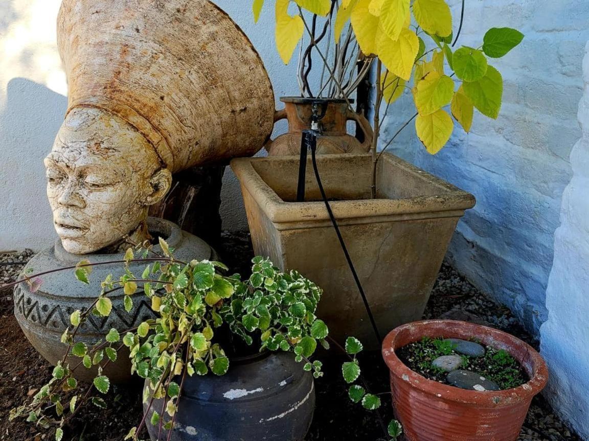 Acacia Home Graaff-Reinet エクステリア 写真